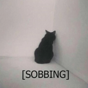 Sobbing Cat