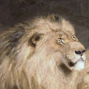 Andrew Montgomery